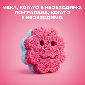 Многофункционална гъба