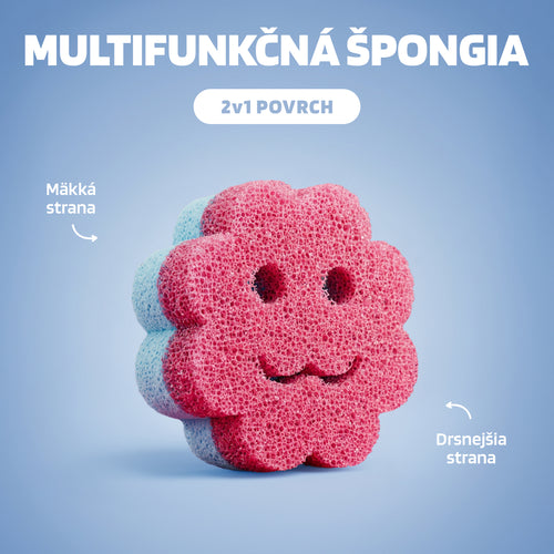 Многофункционална гъба